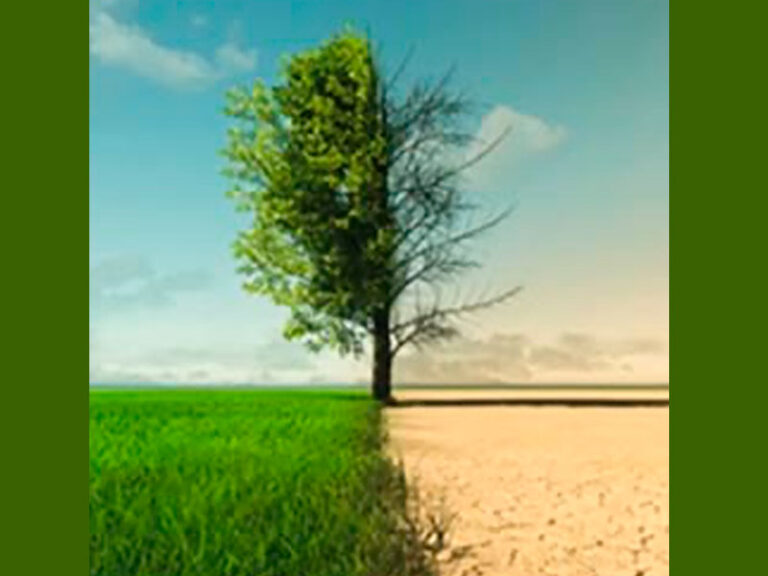 clima_800x600-72-dpi